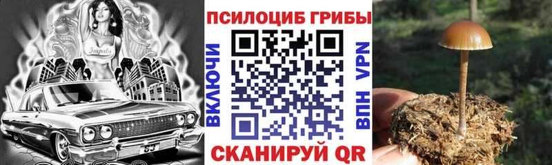 Псилоцибиновые грибы GOLDEN TEACHER  наркошоп  нарко площадка официальный сайт  Чистополь 